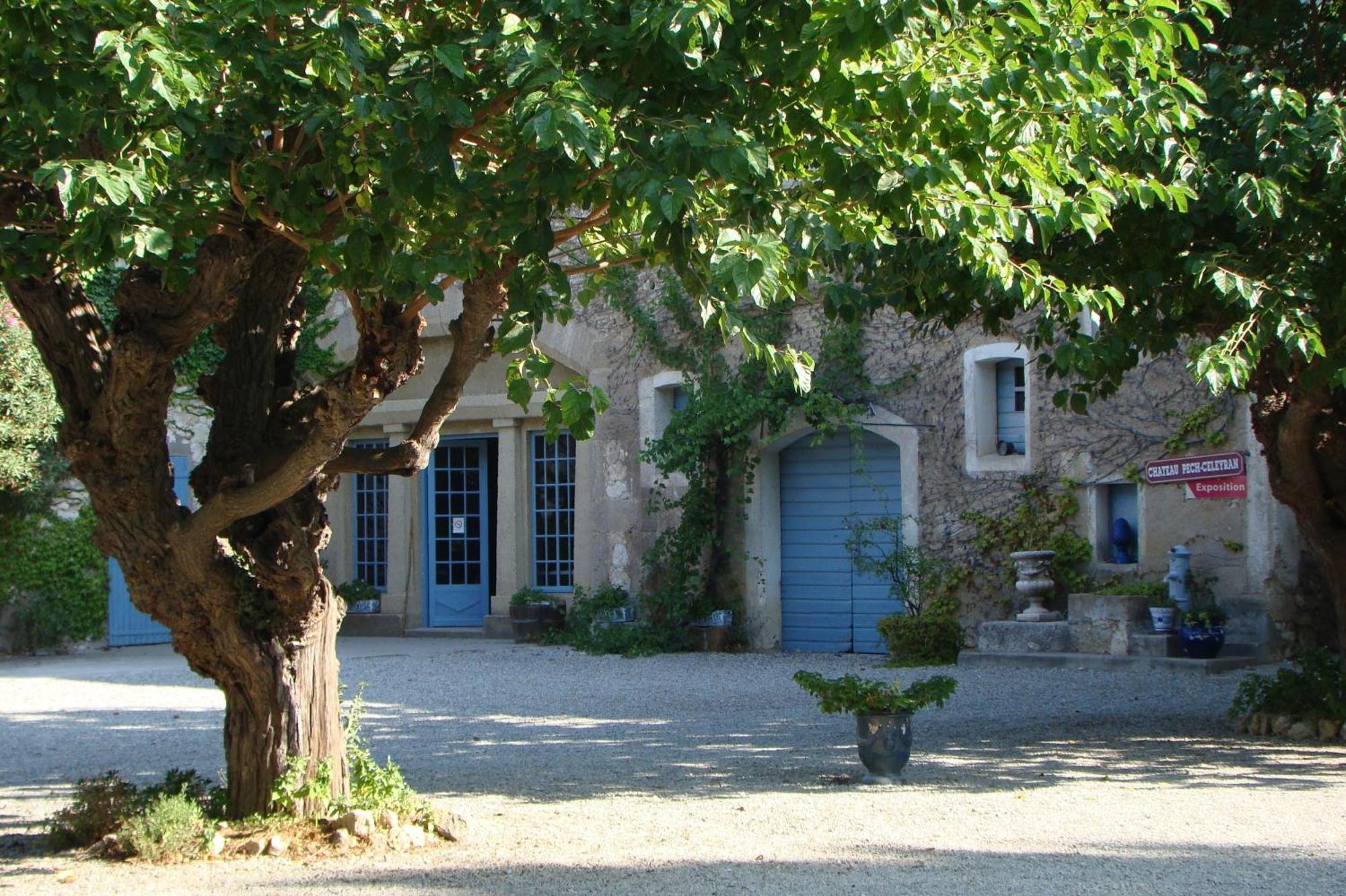 Сasa de vacaciones Chateau Pech-céleyran