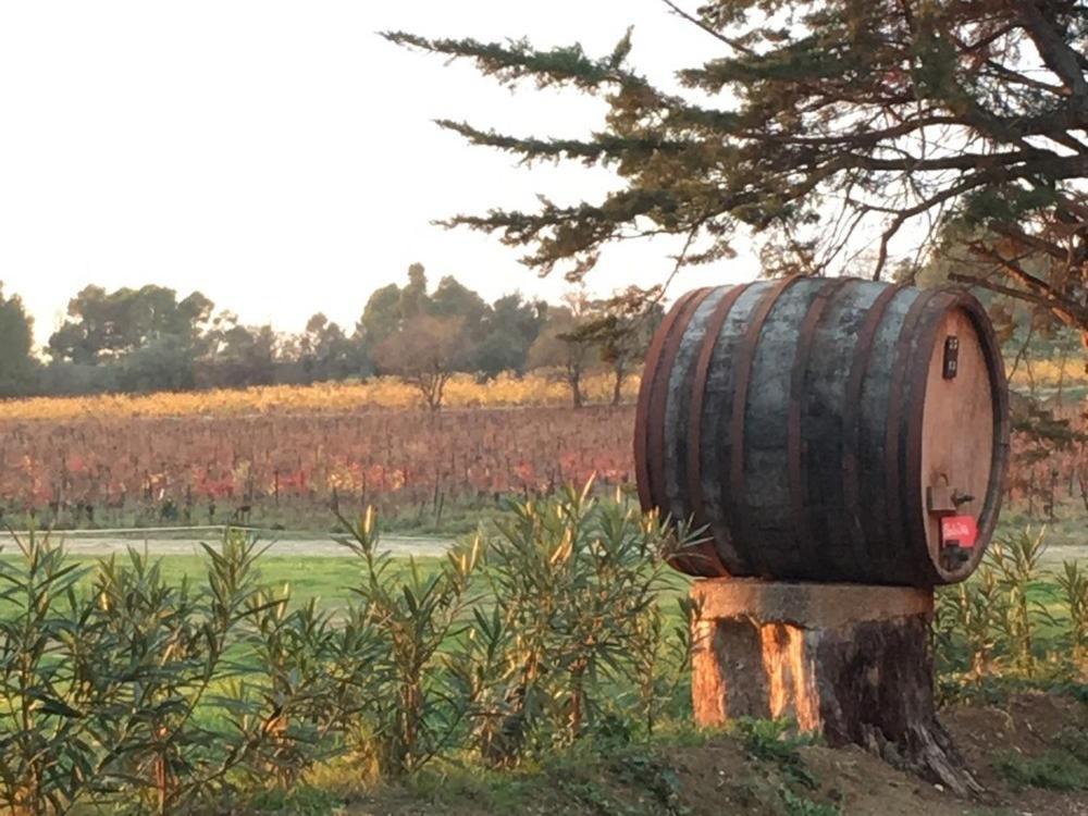 Chateau Pech-celeyran *