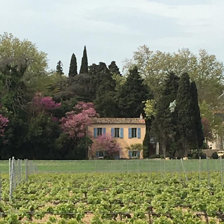 Сasa de vacaciones Chateau Pech-céleyran *