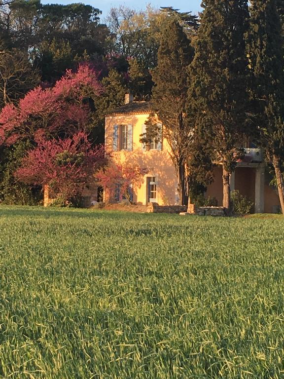 Chateau Pech-céleyran Salles-dʼAude