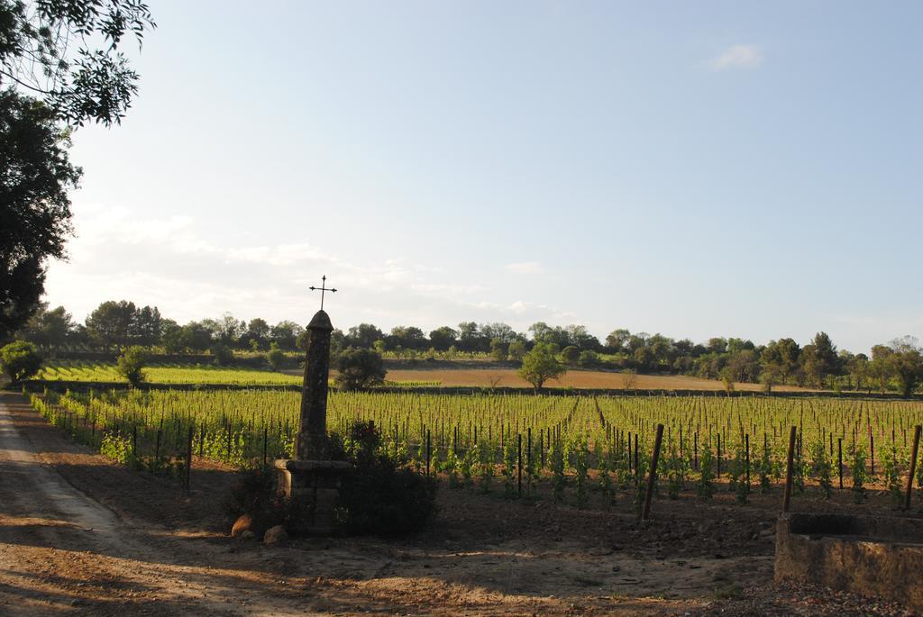 Сasa de vacaciones Chateau Pech-céleyran